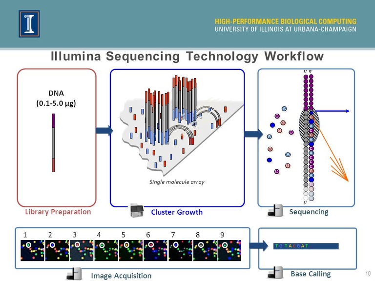 illumina_principle